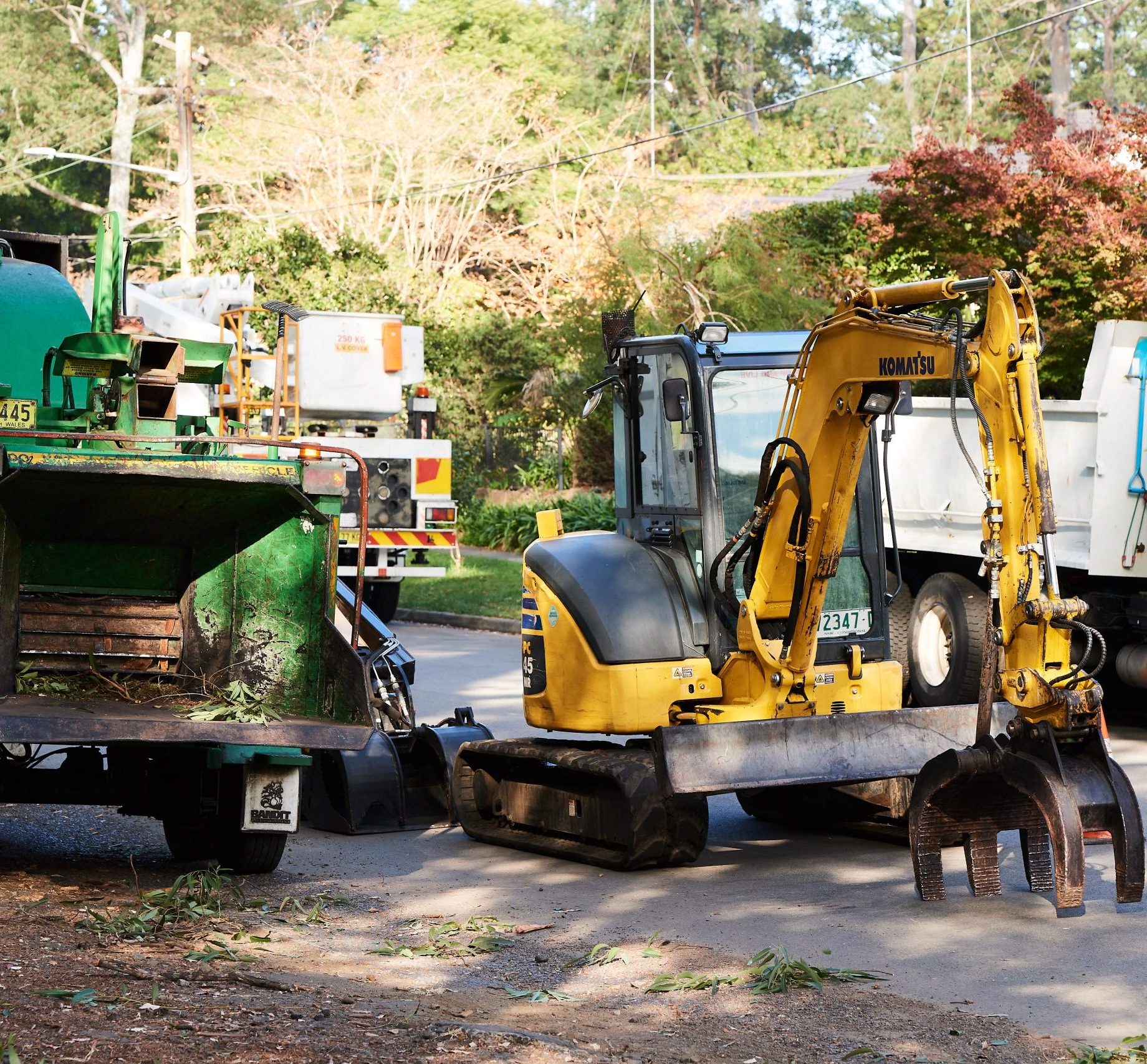 Commercial horticultural & landscaping service - Plateau Trees