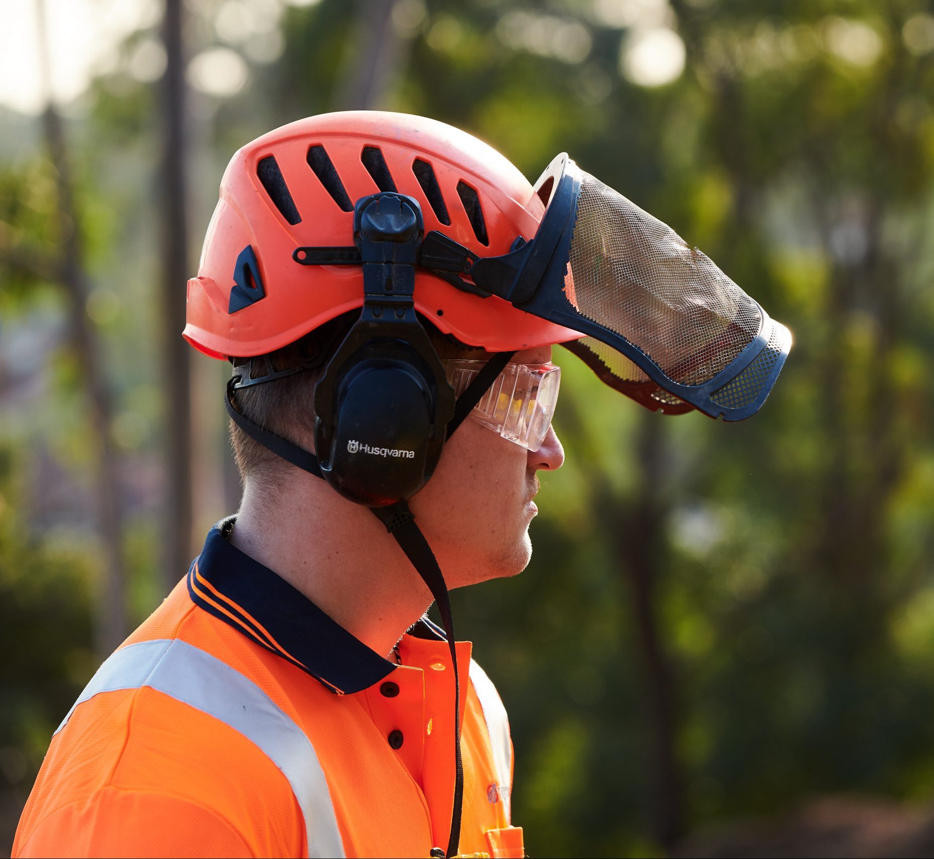 Arborist Wearing Safety Gear - Plateau Trees