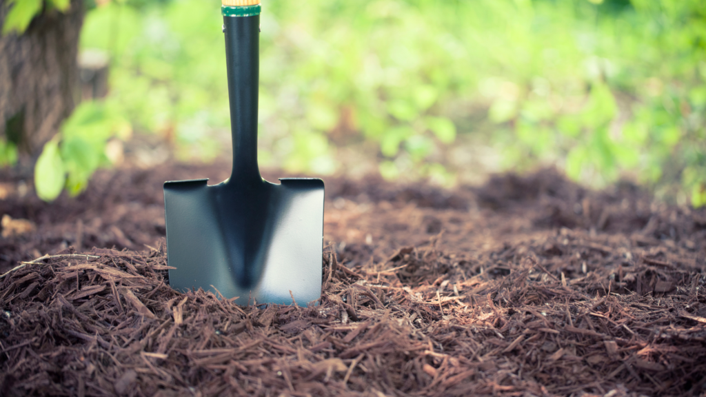 How To Properly Mulch Around Your Tree - Plateau Trees